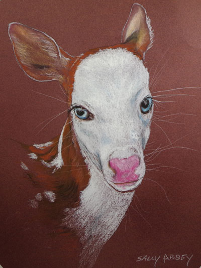 Piebald Fawn Portrait