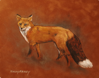 Red Fox